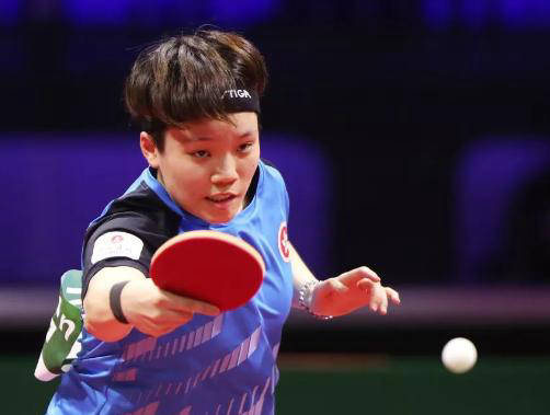 书内容的解
