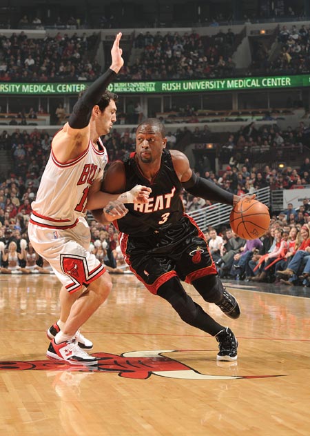 他们不仅提 他们不仅提