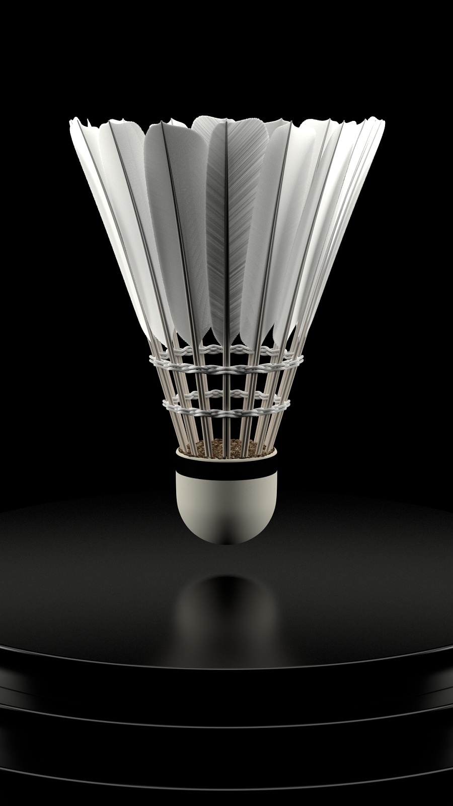 崔永熙在 崔永熙在